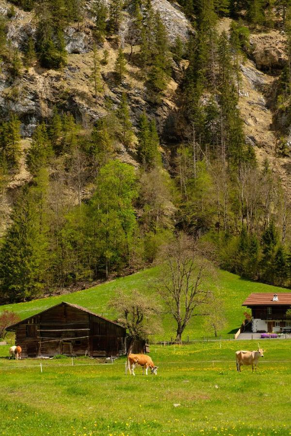 Apartament Hafod A Hendre Lauterbrunnen Zewnętrze zdjęcie
